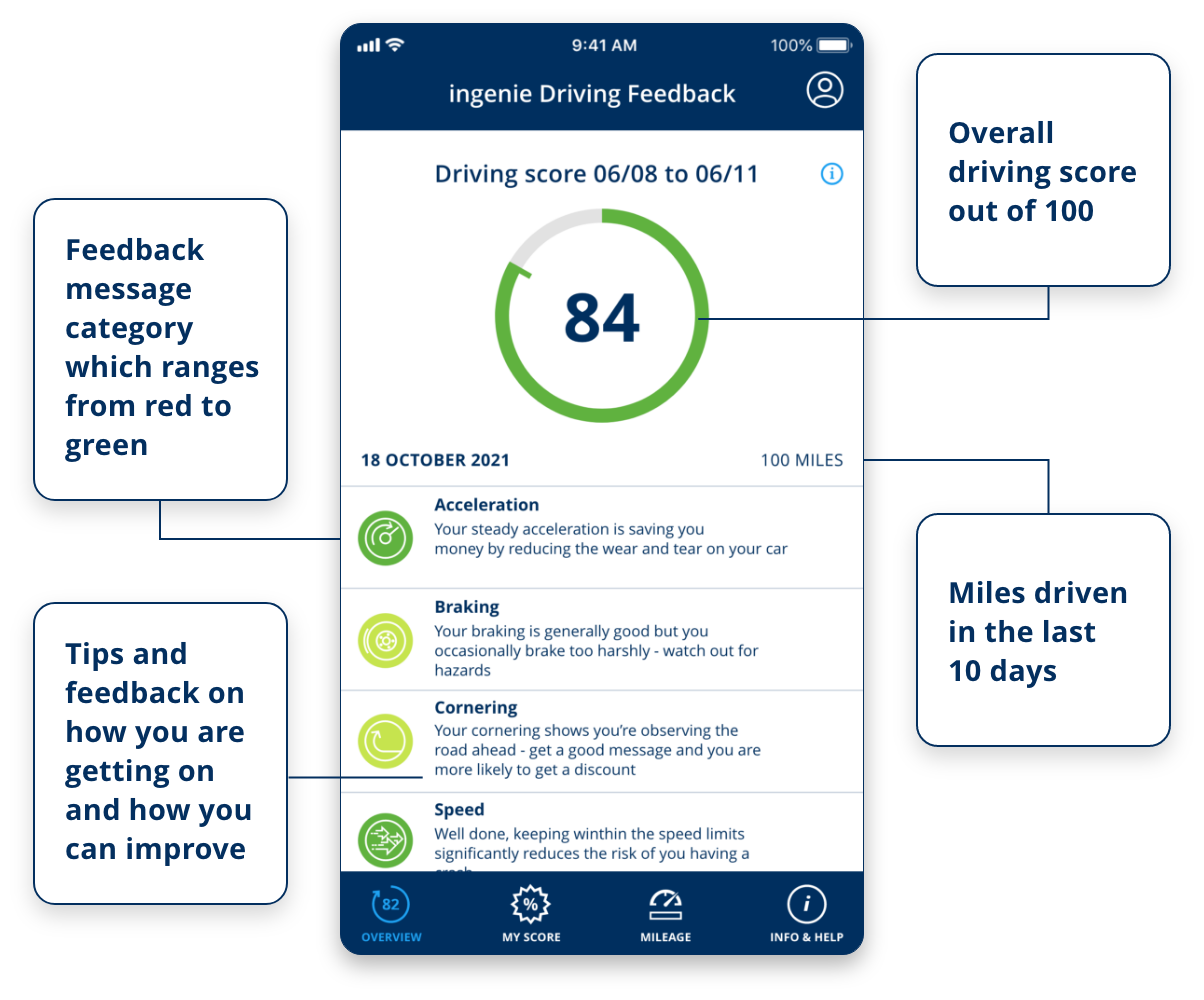young driver app infographic