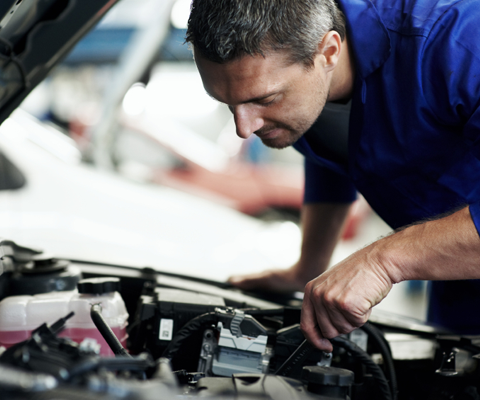 What gets checked during a car service?
